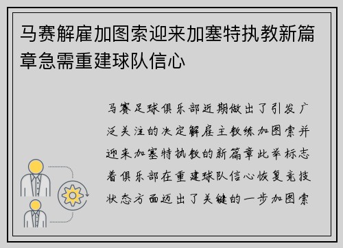 马赛解雇加图索迎来加塞特执教新篇章急需重建球队信心