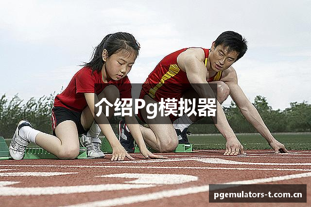 介绍Pg模拟器